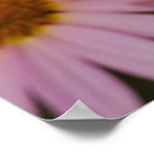 Michaelmas-Daisy-Plakat Poster (Ecke)