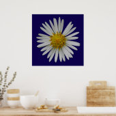 Michaelmas-Daisy-Plakat Poster (Küche)