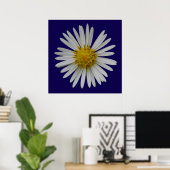 Michaelmas-Daisy-Plakat Poster (Heimbüro)