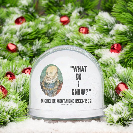 Michel de Montaigne Was weiß ich? Kostenvoranschla Schneekugeln (Weihnachten)