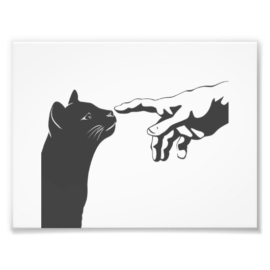 Michelangelo Cat - Farbe für Hintergrund auswählen Fotodruck (Vorne)