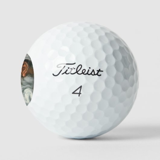 Michelangelo Creation Adam God Art Golfball (Logo)