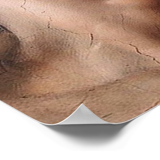 Michelangelo Creation Adam God Art Poster (Ecke)