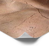 Michelangelo Creation Adam God Art Poster (Ecke)