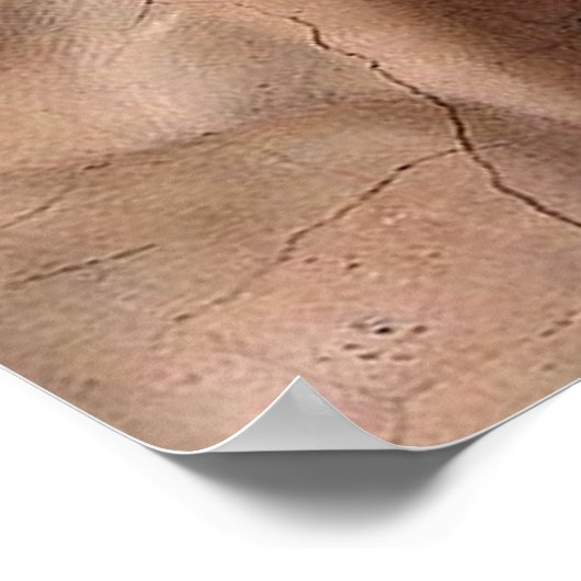 Michelangelo Creation Adam God Art Poster (Ecke)