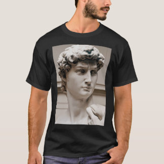 Michelangelo David (Leiter) T-Shirt