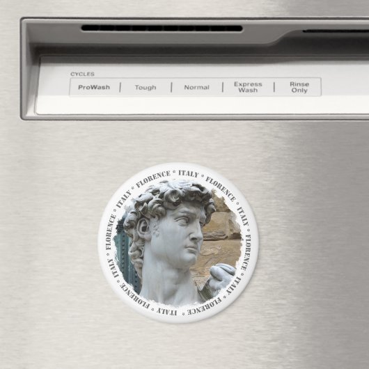 Michelangelo’s David Magnet (In Situ (Geschirrspüler))