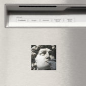 Michelangelo’s David Magnet (In Situ (Geschirrspüler))