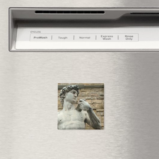 Michelangelos David 1 Magnet (In Situ (Geschirrspüler))