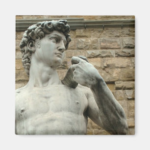 Michelangelos David 1 Magnet