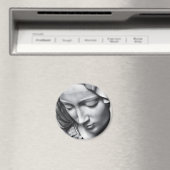 Michelangelos Pieta-Detail der Jungfrau Marias Ges Magnet (In Situ (Geschirrspüler))