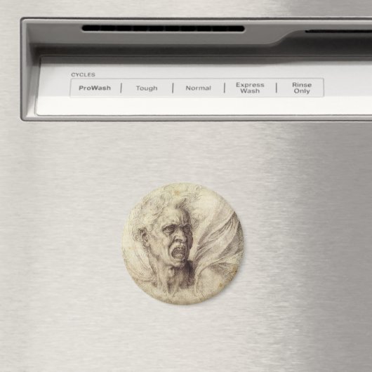 Michelangelos verdammtes Soul, Leiter eines Mannes Magnet (In Situ (Geschirrspüler))