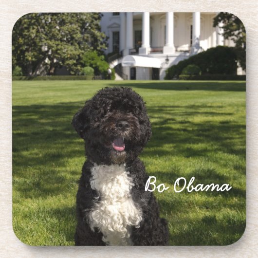 Michele & Bo Obama Getränkeuntersetzer (Vorderseite)