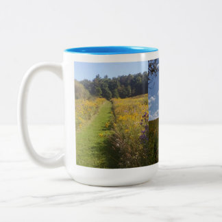 Michias Tasse 2