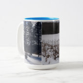 Michias Tasse 4 (Vorderseite Links)