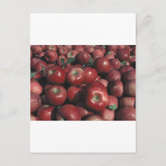 Michigan Apples Postkarte