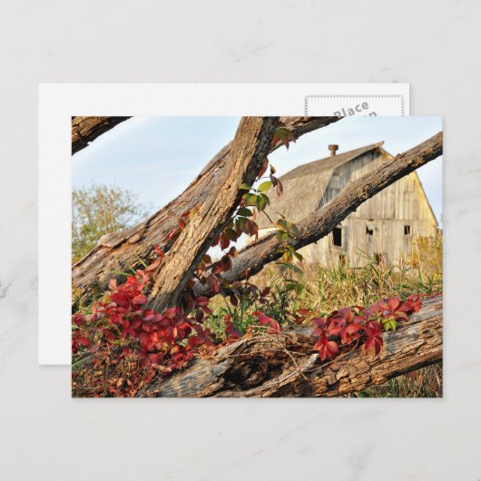 Michigan Barn and Fall Color Postkarte (Vorne/Hinten)