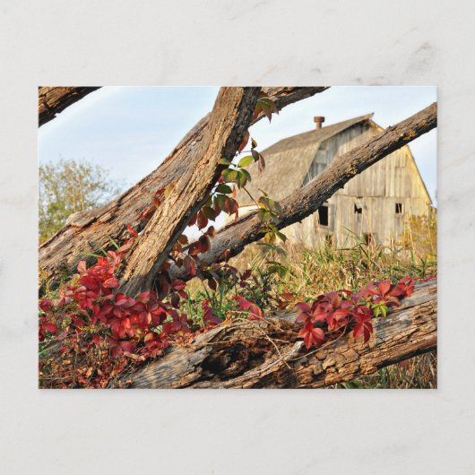 Michigan Barn and Fall Color Postkarte (Vorderseite)