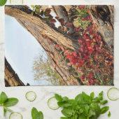 Michigan Barn im Herbst Küchentuch (Gefaltet)