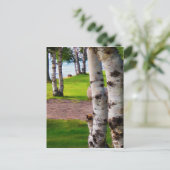 Michigan Birch Trees by Lake Postkarte (Stehend Vorderseite)