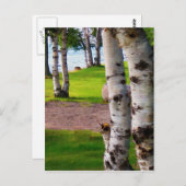 Michigan Birch Trees by Lake Postkarte (Vorne/Hinten)