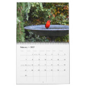 Michigan Birds 2024 Kalender (Feb 2027)