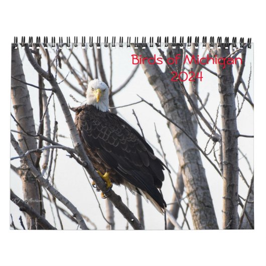 Michigan Birds 2024 Kalender (Titelbild)