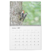 Michigan Birds 2024 Kalender (Jan 2027)