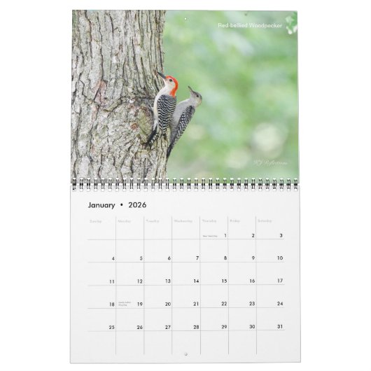 Michigan Birds 2024 Kalender (Jan 2026)