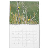 Michigan Birds 2024 Kalender (Mär 2026)