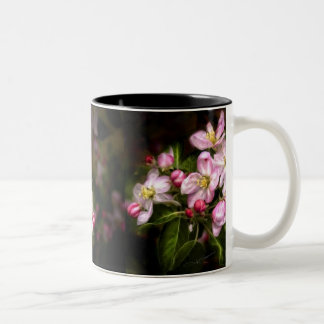 Michigan-Blüte Zweifarbige Tasse