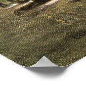 Michigan Boulevard at Night, Chicago 1911 Postcard Poster (Ecke)