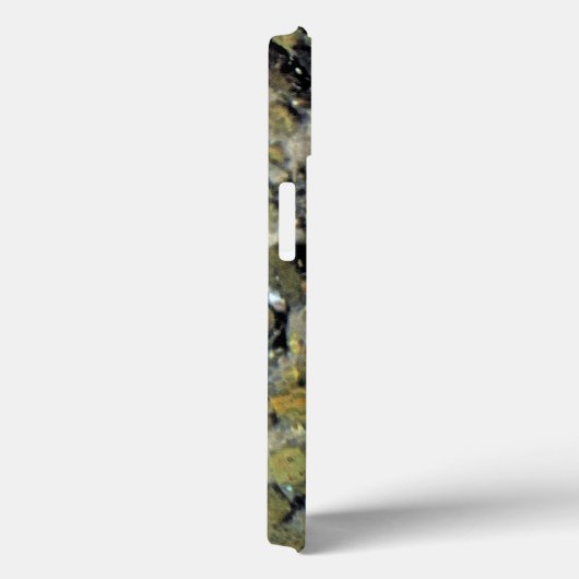 Michigan Brown Trout Case-Mate iPhone Hülle (Rückseite / Rechts)