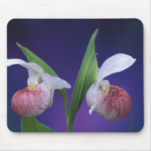 Michigan, Bruce Peninsula National Park. Prachtvol Mousepad