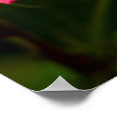 Michigan, Dearborn Detail des rosa Hibiskus Poster (Ecke)