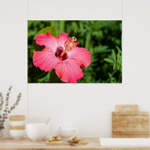 Michigan, Dearborn Detail des rosa Hibiskus Poster (Küche)