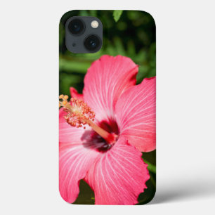 Michigan, Dearborn. Detail Of Pink Hibiscus Case-Mate iPhone Hülle