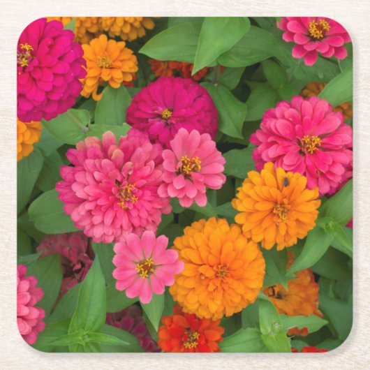 Michigan, Dearborn, Greenfield Village. Nahe Rechteckiger Pappuntersetzer (Vorderseite)