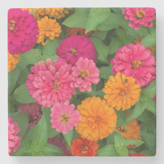 Michigan, Dearborn, Greenfield Village. Nahe Steinuntersetzer (Vorderseite)