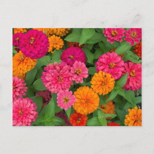 Michigan, Dearborn, Greenfield Village. Von Nahem Postkarte (Vorderseite)