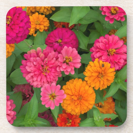 Michigan, Dearborn, Greenfield Village.Von Nahem Untersetzer (Vorderseite)