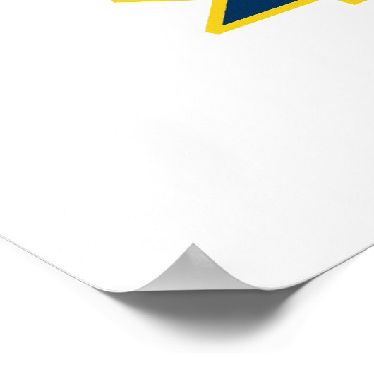 Michigan Diamond Poster (Ecke)