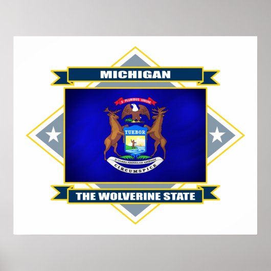 Michigan Diamond Poster (Vorne)