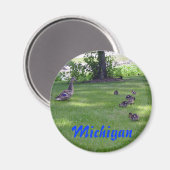 Michigan Ducklings Magnet (Vorderseite/Rückseite)