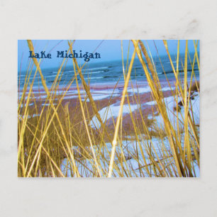 Michigan Dune Grass Post Card Postkarte