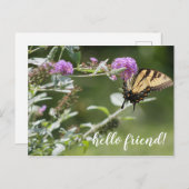 Michigan Eastern Frack Butterfly Postkarte (Vorne/Hinten)