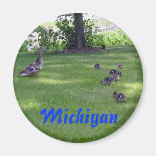 Michigan-Entlein Magnet