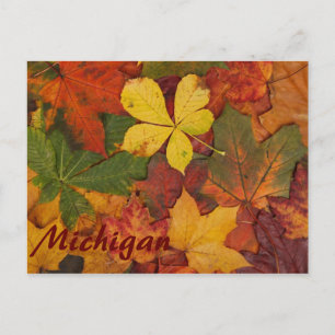 Michigan farbenfrohe Herbstverlässe Postkarte