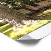 Michigan Farm House Poster (Ecke)