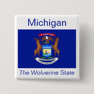 Michigan-Flag Button